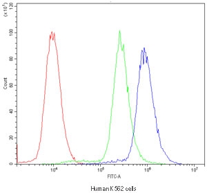 Flow cytometry testing of human K562 cells with POR antibody at 1ug/10^6 cells (blocked with goat sera); Red=cells alone, Green=isotype control, Blue=POR antibody.