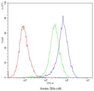 Flow cytometry testing of human SiHa cells with POR antibody at 1ug/10^6 cells (blocked with goat sera); Red=cells alone, Green=isotype control, Blue=POR antibody.