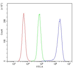 Flow cytometry testing of mouse RAW264.7 cells with Stathmin 1 antibody at 1ug/million cells (blocked with goat sera); Red=cells alone, Green=isotype control, Blue= Stathmin 1 antibody.