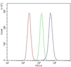 Flow cytometry testing of human U-87 MG cells with RASGAP antibody at 1ug/million cells (blocked with goat sera); Red=cells alone, Green=isotype control, Blue= RASGAP antibody.
