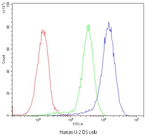 Flow cytometry testing of human U-2 OS cells with BMP5 antibody at 1ug/10^6 cells (blocked with goat sera); Red=cells alone, Green=isotype control, Blue=BMP5 antibody.