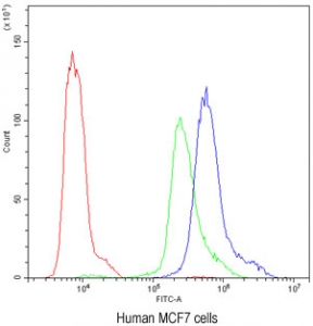 Flow cytometry testing of human MCF7 cells with PKC eta antibody at 1ug/10^6 cells (blocked with goat sera); Red=cells alone, Green=isotype control, Blue= PKC eta antibody.