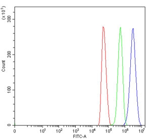 Flow cytometry testing of human U-251 cells with RPA1 antibody at 1ug/million cells (blocked with goat sera); Red=cells alone, Green=isotype control, Blue= RPA1 antibody.
