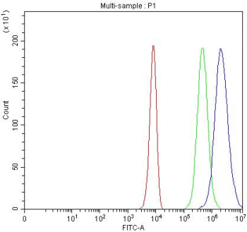 Flow cytometry testing of fixed and permeabilized human K562 cells with CDC25C antibody at 1ug/million cells (blocked with goat sera); Red=cells alone, Green=isotype control, Blue= CDC25C antibody.