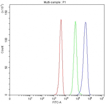 Flow cytometry testing of fixed and permeabilized human 293T cells with SDHA antibody at 1ug/million cells (blocked with goat sera); Red=cells alone, Green=isotype control, Blue= SDHA antibody.