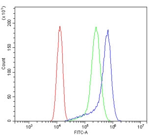 Flow cytometry testing of human A431 cells with GRK3 antibody at 1ug/million cells (blocked with goat sera); Red=cells alone, Green=isotype control, Blue= GRK3 antibody.