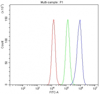Flow cytometry testing of fixed and permeabilized human SiHa cells with STAT3 antibody at 1ug/million cells (blocked with goat sera); Red=cells alone, Green=isotype control, Blue= STAT3 antibody.