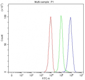 Flow cytometry testing of fixed and permeabilized rat PC-12 cells with STAT3 antibody at 1ug/million cells (blocked with goat sera); Red=cells alone, Green=isotype control, Blue= STAT3 antibody.