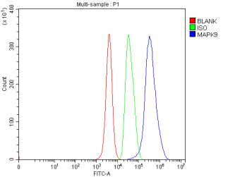 Flow cytometry analysis of fixed and permeabilized mouse HEPA1-6 cells with JNK2 antibody at 1ug/million cells (blocked with goat sera); Red=cells alone, Green=isotype control, Blue= JNK2 antibody.
