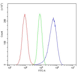 Flow cytometry testing of human A549 cells with HINT1 antibody at 1ug/million cells (blocked with goat sera); Red=cells alone, Green=isotype control, Blue= HINT1 antibody.