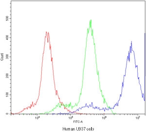 Flow cytometry testing of human U937 cells with PPT1 antibody at 1ug/10^6 cells (blocked with goat sera); Red=cells alone, Green=isotype control, Blue=PPT1 antibody.