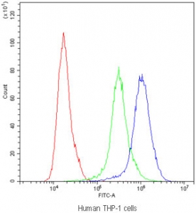 Flow cytometry testing of human THP-1 cells with PPT1 antibody at 1ug/10^6 cells (blocked with goat sera); Red=cells alone, Green=isotype control, Blue=PPT1 antibody.