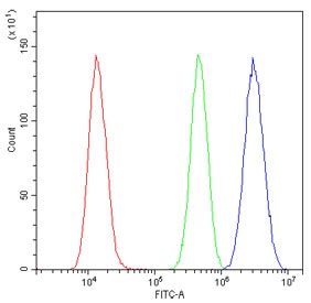Flow cytometry testing of human U-2 OS cells with EWSR1 antibody at 1ug/10^6 cells (blocked with goat sera); Red=cells alone, Green=isotype control, Blue= EWSR1 antibody.