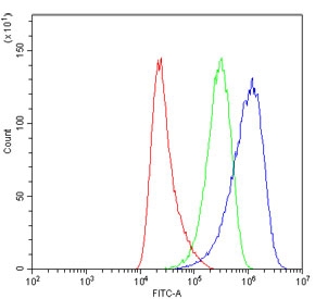 Flow cytometry testing of human HeLa cells with ASPH antibody at 1ug/million cells (blocked with goat sera); Red=cells alone, Green=isotype control, Blue= ASPH antibody.