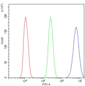 Flow cytometry testing of human U-2 OS cells with TRIM28 antibody at 1ug/million cells (blocked with goat sera); Red=cells alone, Green=isotype control, Blue= TRIM28 antibody.