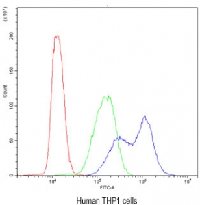 Flow cytometry testing of human THP1 cells with BIK antibody at 1ug/10^6 cells (blocked with goat sera); Red=cells alone, Green=isotype control, Blue= BIK antibody.