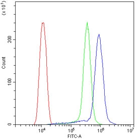 Flow cytometry testing of human ThP1 cells with BAK antibody at 1ug/10^6 cells (blocked with goat sera); Red=cells alone, Green=isotype control, Blue= BAK antibody.
