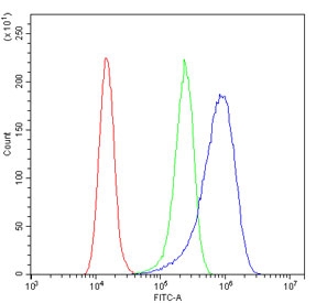 Flow cytometry testing of human A431 cells with SMN1/2 antibody at 1ug/million cells (blocked with goat sera); Red=cells alone, Green=isotype control, Blue= SMN1/2 antibody.