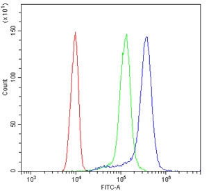 Flow cytometry testing of human ThP-1 cells with ULK3 antibody at 1ug/10^6 cells (blocked with goat sera); Red=cells alone, Green=isotype control, Blue= ULK3 antibody.