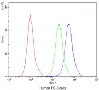 Flow cytometry testing of human PC-3 cells with ATG14L antibody at 1ug/10^6 cells (blocked with goat sera); Red=cells alone, Green=isotype control, Blue= ATG14L antibody.