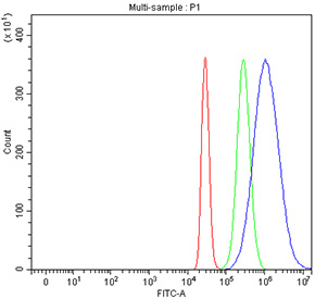 Flow cytometry testing of fixed and permeabilized human HepG2 cells with UBE2Q2 antibody at 1ug/million cells (blocked with goat sera); Red=cells alone, Green=isotype control, Blue= UBE2Q2 antibody.