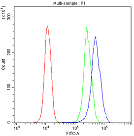 Flow cytometry testing of fixed and permeabilized human U937 cells with JAB1 antibody at 1ug/million cells (blocked with goat sera); Red=cells alone, Green=isotype control, Blue= JAB1 antibody.
