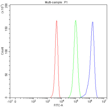 Flow cytometry testing of human 293T cells with Smac antibody at 1ug/million cells (blocked with goat sera); Red=cells alone, Green=isotype control, Blue= Smac antibody.