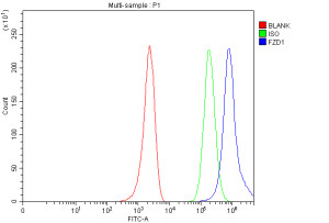 FZD1 Antibody Human MCF-7 FACS. Flow cytometry analysis of fixed MCF-7 human breast cancer cells stained with FZD1 Antibody at 1 ug/10^6 cells, followed by a Fluoro488-conjugated secondary antibody. The blue histogram (FZD1) shows a clear rightward shift compared with the rabbit IgG isotype control (green) and unstained cells (red), demonstrating specific detection of endogenous Frizzled 1 expression. These results support the use of FZD1 Antibody for analyzing FZD1 expression and Wnt signaling receptor distribution by flow cytometry.