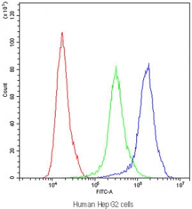 Flow cytometry testing of human HepG2 cells with APOA1 antibody at 1ug/10^6 cells (blocked with goat sera); Red=cells alone, Green=isotype control, Blue=APOA1 antibody.