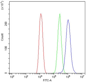 Flow cytometry testing of human U-2 OS cells with IL7R antibody at 1ug/10^6 cells (blocked with goat sera); Red=cells alone, Green=isotype control, Blue= IL7R antibody.