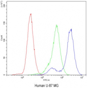 Flow cytometry testing of human U-87 MG cells with Factor I antibody at 1ug/10^6 cells (blocked with goat sera); Red=cells alone, Green=isotype control, Blue= Factor I antibody.