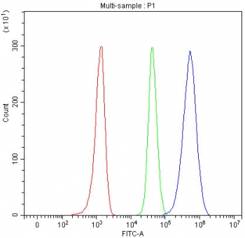 Flow cytometry testing of fixed and permeabilized human Raji cells with Cofilin 2 antibody at 1ug/million cells (blocked with goat sera); Red=cells alone, Green=isotype control, Blue= Cofilin 2 antibody.