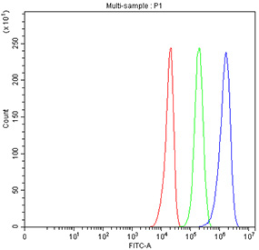 Flow cytometry testing of fixed and permeabilized human U251 cells with WDR1 antibody at 1ug/million cells (blocked with goat sera); Red=cells alone, Green=isotype control, Blue= WDR1 antibody.