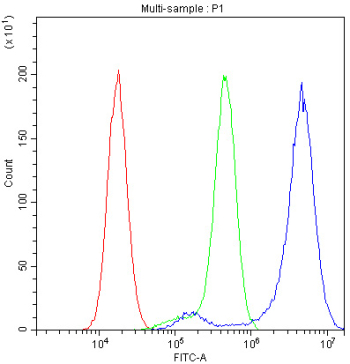 Flow cytometry analysis of fixed and permeabilized human U-87 MG cells with CRM1 antibody at 1ug/million cells (blocked with goat sera); Red=cells alone, Green=isotype control, Blue= CRM1 antibody.