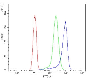 Flow cytometry testing of fixed and permeabilized human A431 cells with AFG3L2 antibody at 1ug/million cells (blocked with goat sera); Red=cells alone, Green=isotype control, Blue= AFG3L2 antibody.