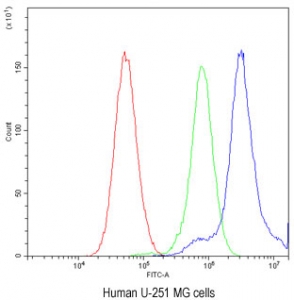 Flow cytometry testing of fixed and permeabilized human U-251 MG cells with TCP1 delta antibody at 1ug/million cells (blocked with goat sera); Red=cells alone, Green=isotype control, Blue= TCP1 delta antibody.