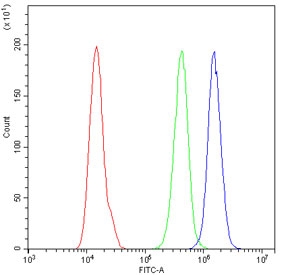 Flow cytometry testing of human A431 cells with HMGB2 antibody at 1ug/10^6 cells (blocked with goat sera); Red=cells alone, Green=isotype control, Blue= HMGB2 antibody.