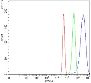 Flow cytometry testing of human U-87 MG cells with ACTN4 antibody at 1ug/million cells (blocked with goat sera); Red=cells alone, Green=isotype control, Blue= ACTN4 antibody.