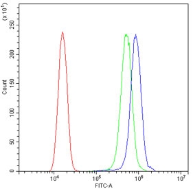 Flow cytometry testing of human SiHa cells with ARF6 antibody at 1ug/10^6 cells (blocked with goat sera); Red=cells alone, Green=isotype control, Blue= ARF6 antibody.