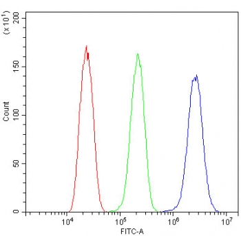 Flow cytometry testing of human U-251 cells with TCP1 beta antibody at 1ug/million cells (blocked with goat sera); Red=cells alone, Green=isotype control, Blue= TCP1 beta antibody.
