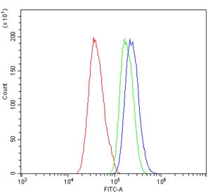 Flow cytometry testing of human Caco-2 cells with ABAT antibody at 1ug/million cells (blocked with goat sera); Red=cells alone, Green=isotype control, Blue= ABAT antibody.