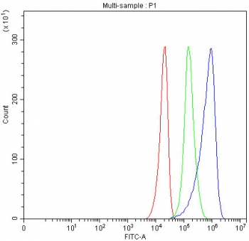 Flow cytometry testing of fixed and permeabilized human U-251 cells with ACADVL antibody at 1ug/million cells (blocked with goat sera); Red=cells alone, Green=isotype control, Blue= ACADVL antibody.
