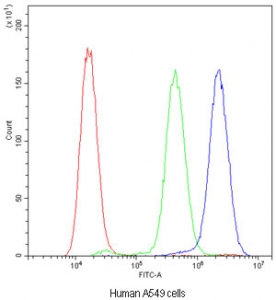 Flow cytometry testing of human A549 cells with ADO antibody at 1ug/10^6 cells (blocked with goat sera); Red=cells alone, Green=isotype control, Blue=ADO antibody.