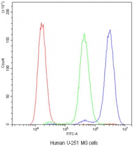 Flow cytometry testing of human U-251 MG cells with ADO antibody at 1ug/10^6 cells (blocked with goat sera); Red=cells alone, Green=isotype control, Blue=ADO antibody.