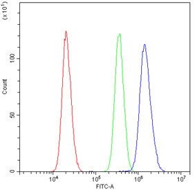 AKR1B1 Antibody FACS. Flow cytometry testing of human U-2 OS cells with AKR1B1 antibody at 1ug/million cells (blocked with goat sera); Red=cells alone, Green=isotype control, Blue= AKR1B1 antibody.