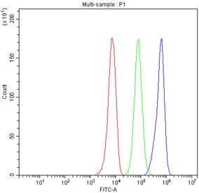 Flow cytometry testing of  fixed human HepG2 cells with APOC3 antibody at 1ug/10^6 cells (blocked with goat sera); Red=cells alone, Green=isotype control, Blue= APOC3 antibody.