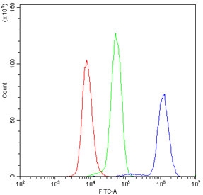 Flow cytometry testing of human U937 cells with GNB1 antibody at 1ug/10^6 cells (blocked with goat sera); Red=cells alone, Green=isotype control, Blue= GNB1 antibody.