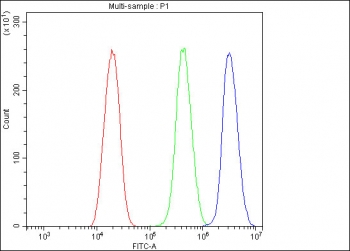 Flow cytometry testing of fixed and permeabilized human U-2 OS cells with KDM5B antibody at 1ug/million cells (blocked with goat sera); Red=cells alone, Green=isotype control, Blue= KDM5B antibody.
