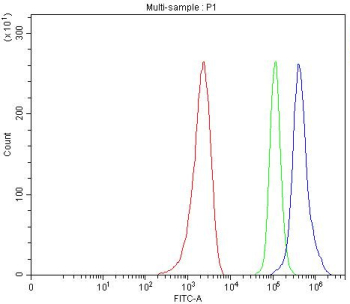 Flow cytometry testing of fixed and permeabilized human MCF7 cells with NFIA antibody at 1ug/10^6 cells (blocked with goat sera); Red=cells alone, Green=isotype control, Blue=NFIA antibody.
