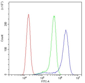 Flow cytometry testing of human A431 cells with RPL19 antibody at 1ug/10^6 cells (blocked with goat sera); Red=cells alone, Green=isotype control, Blue= RPL19 antibody.